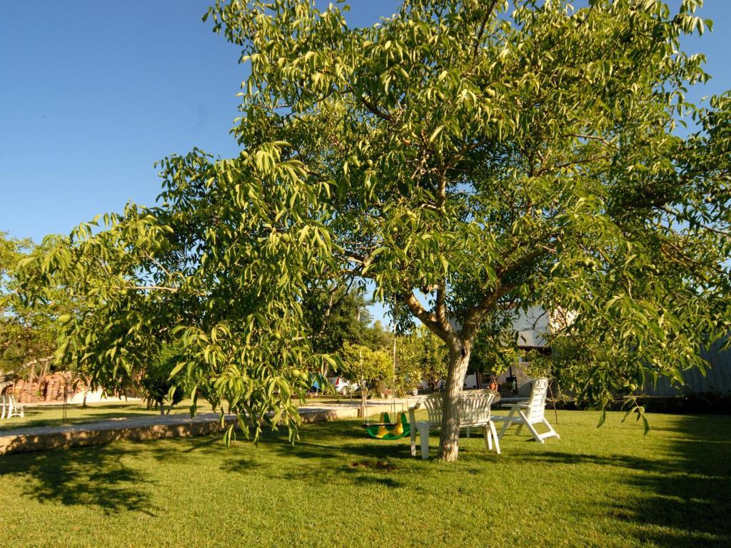 B&B Da Giovanna Fertilia Exterior foto