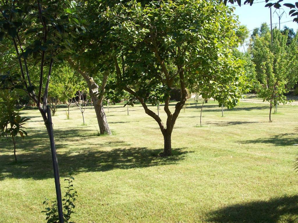 B&B Da Giovanna Fertilia Exterior foto